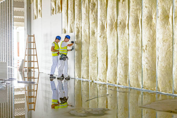 Best Specialized Insulation Services in Mbria, CA
